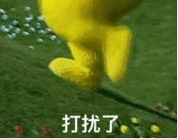 00后的黑话解析,00后黑话的背后