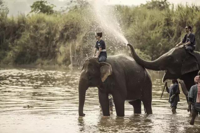 泰国野奢酒店,泰国奢享酒店