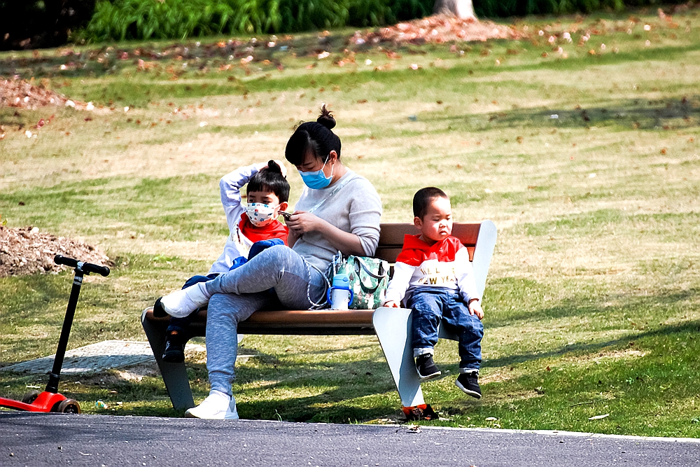 上海世博文化公园有梨花开吗,上海园林文化公园