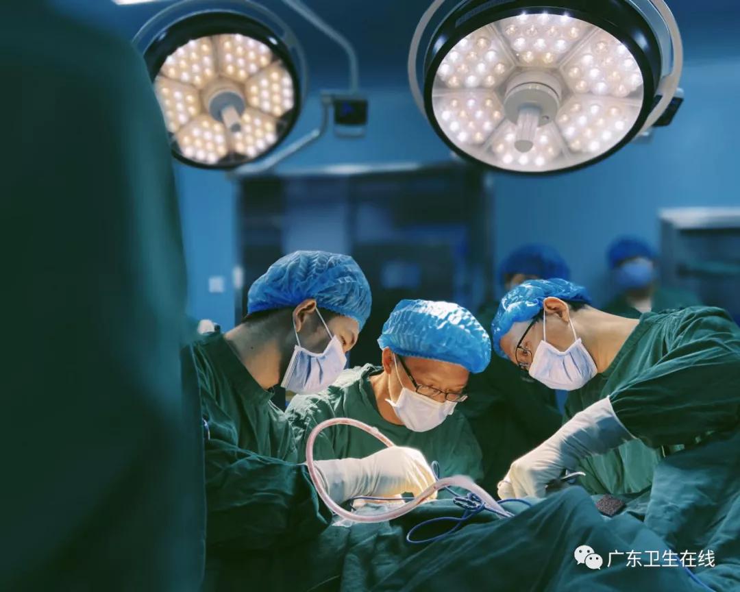 做强“龙头”、做实基层,台山县域医共体建设迎来新飞跃