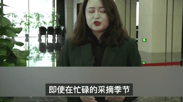 HM*制抵***疆新**棉花:明明那么普通,哪来的自信?