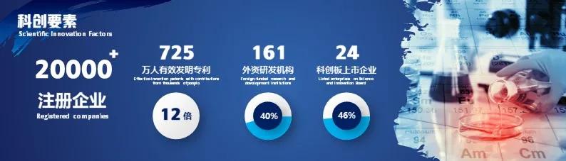 张江掀起浪潮,上海张江生机勃勃