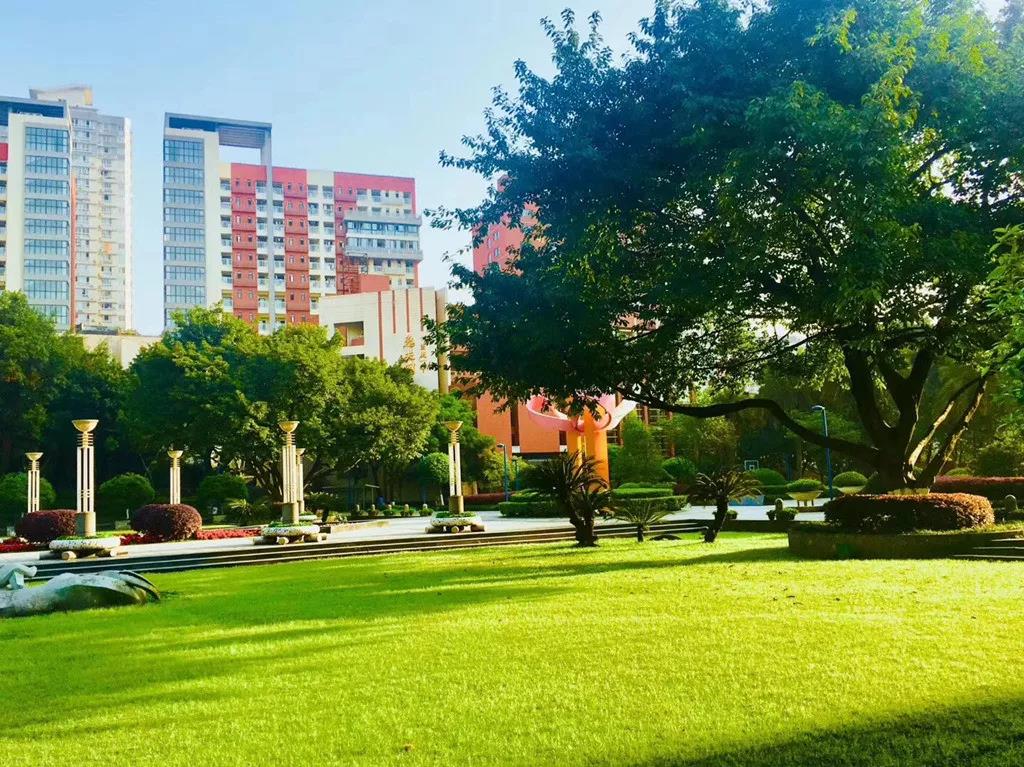 重庆市各区县最好高中,重庆最顶级的高中学校