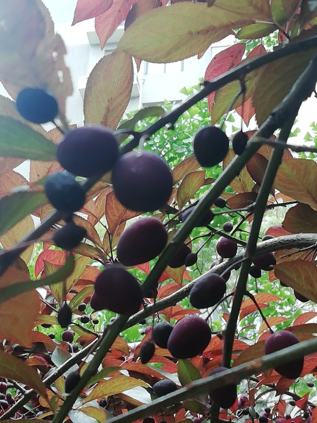 谷雨节气的介绍和谷雨古诗词,二十四节气关于谷雨的诗句并赏析