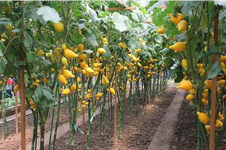 足球场上悟出的创业道理:激情拼搏