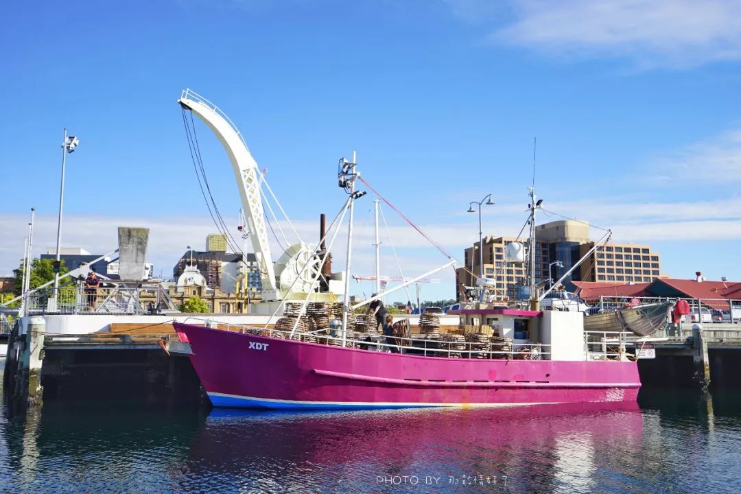 去哪里旅游可以看南极企鹅,旅游攻略南极看企鹅