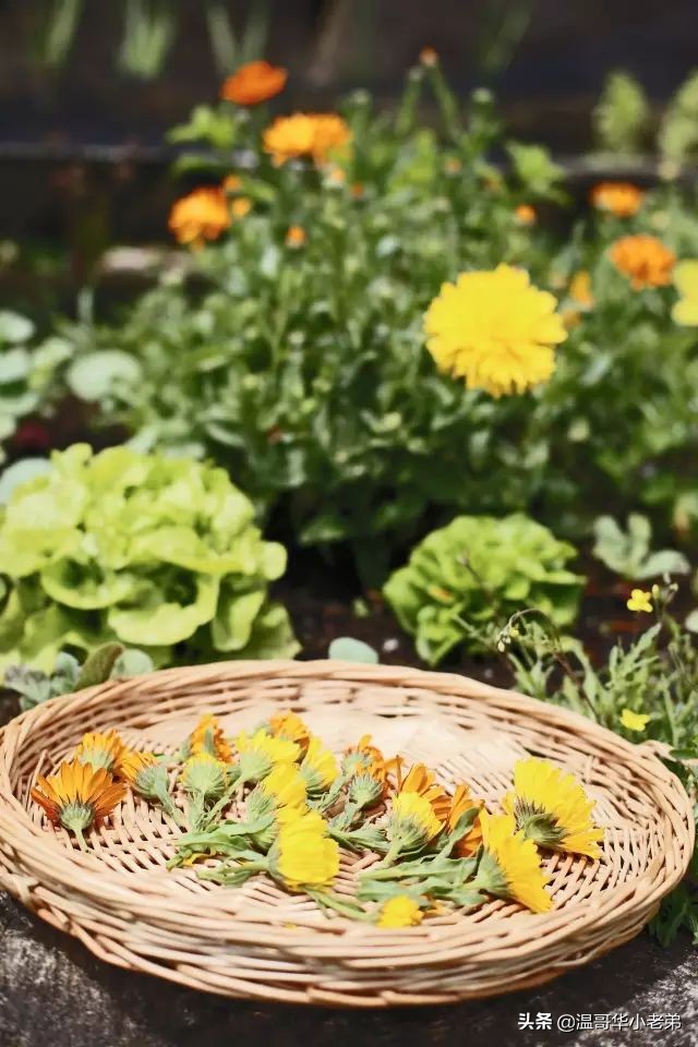 十几年的夫妻感悟,十年的老华人含泪感悟