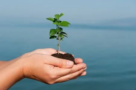 撩人心弦的农产品营销文案,卖农产品文案高级感