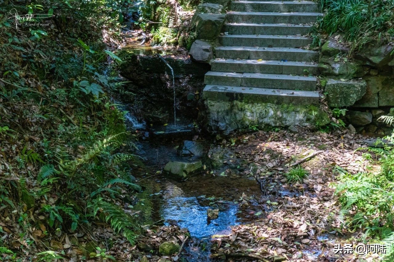 杭州虎跑泉水,杭州虎跑泉旅游攻略