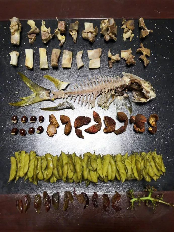 垃圾分类处罚记入征信记录吗,垃圾分类是要负法律责任吗