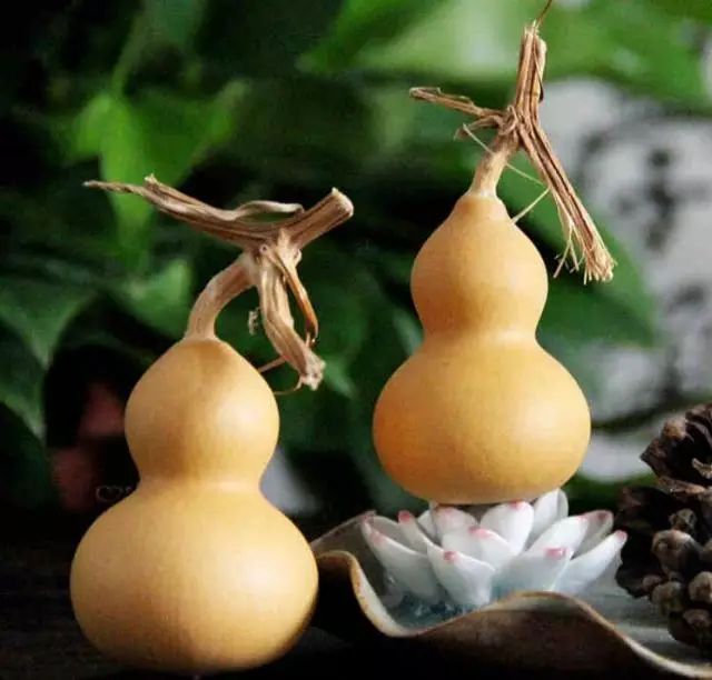 文玩手捻小葫芦怎么盘,文玩葫芦怎么盘玩才能更好看