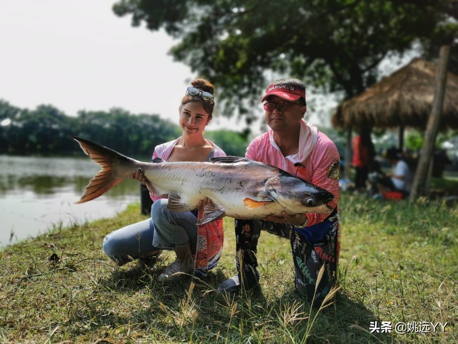 四海钓鱼韩国钓鱼纪录片,四海钓鱼南澳岛