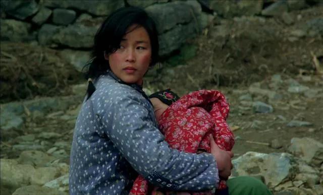 鸡窝洼人家完整版,鸡窝洼的人家全文免费在线阅读