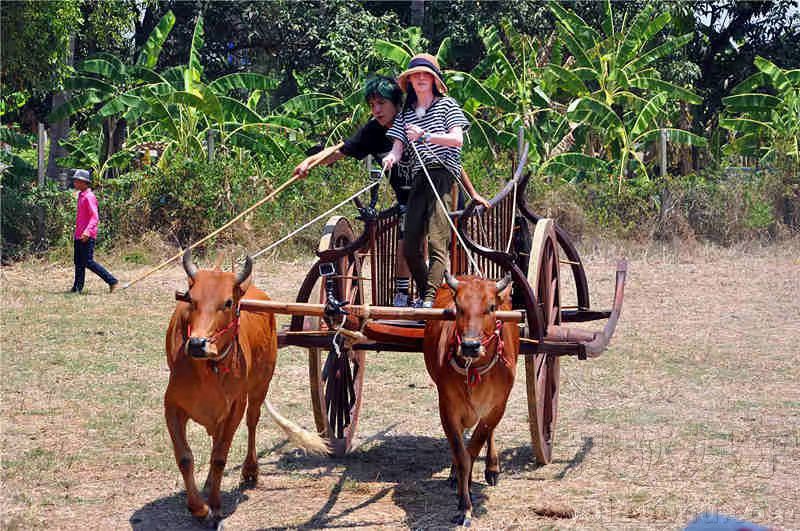 古代丝绸之路的交通工具,丝绸之路上的交通工具