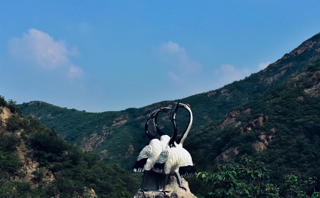 为什么滨州房价那么高,滨州被称为什么城