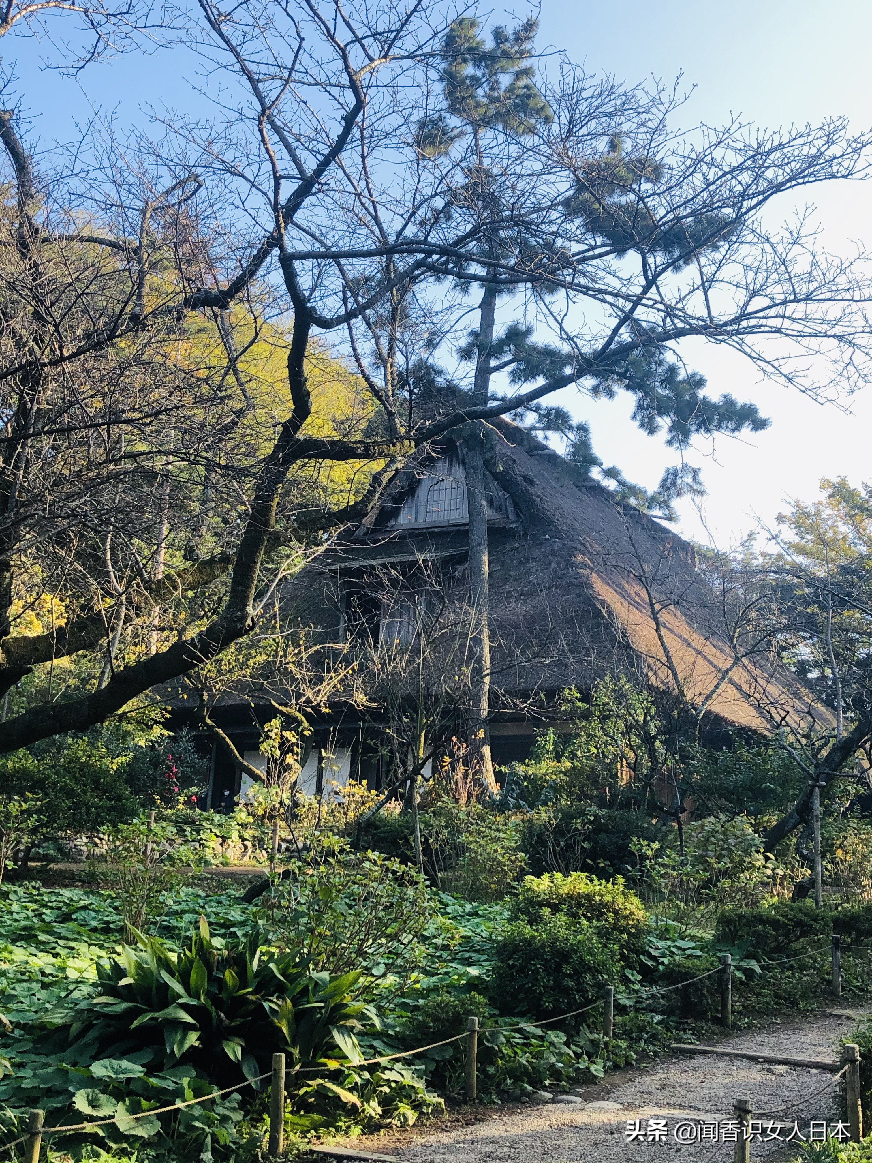 横滨三溪园,横滨三溪园介绍