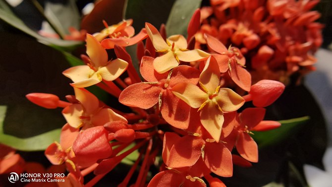 荣耀V30PRO详细评测：MatrixCamera相机矩阵开启5G视频时代