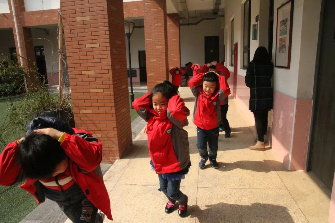 南京市金陵小学南京排名,南京市金陵小学2017