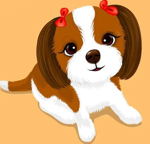 十二生肖属狗哪一年运势最好,十二生肖属狗的人今年的运势