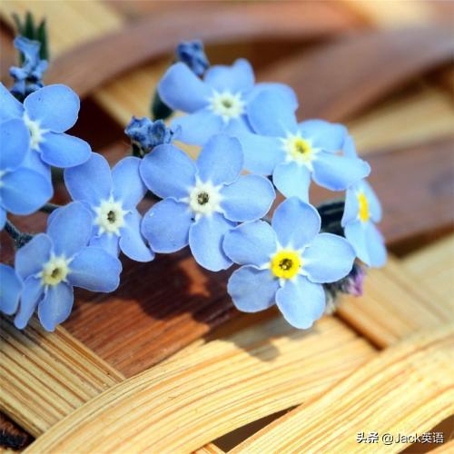 再见除了用goodbye还能说什么,goodbye表示长时间告别吗