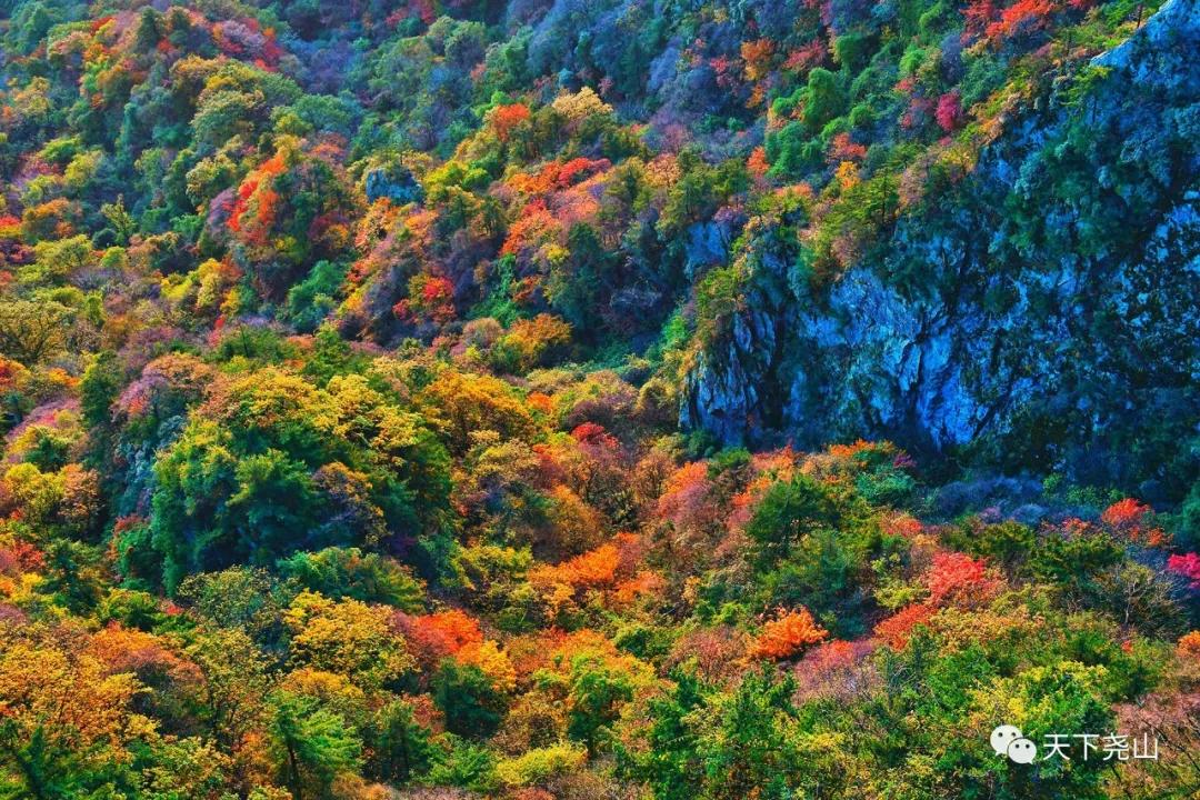 尧山红叶节免费门票,尧山景区每星期三免门票