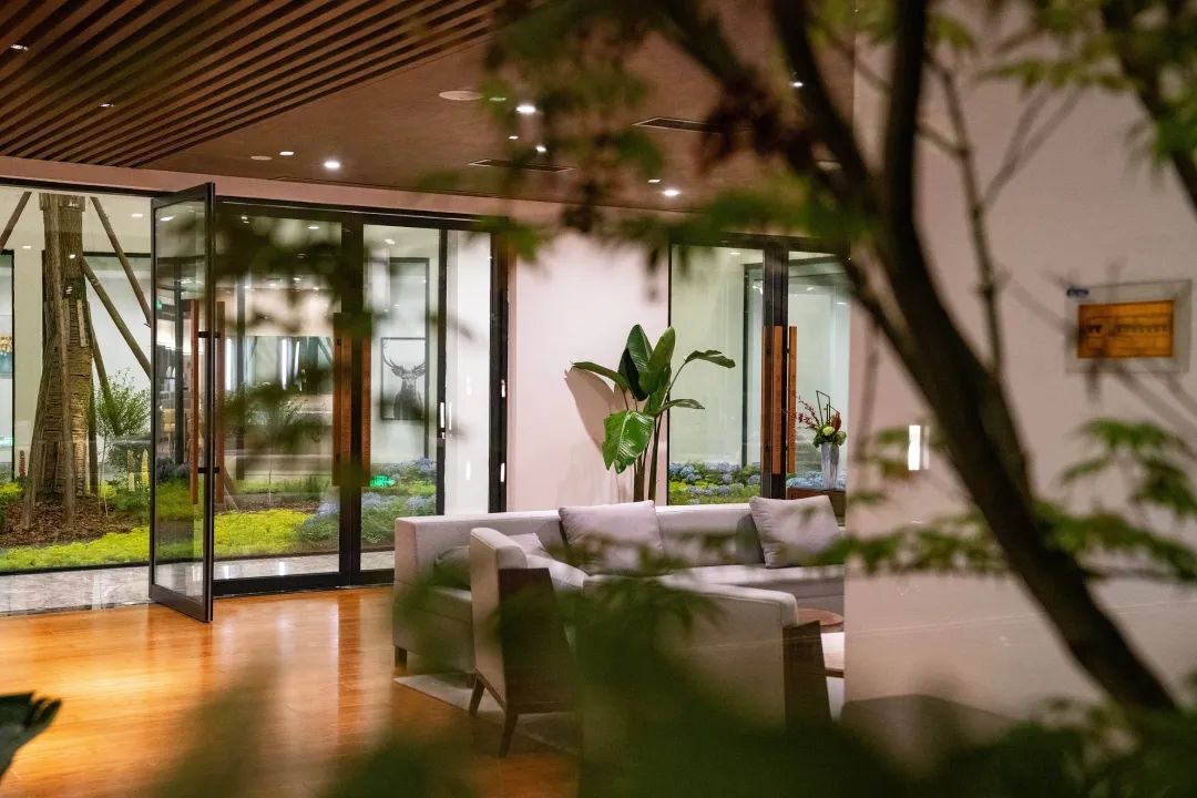 瑙呰叮灏忛晣褰窞,瑙呰叮灏忛晣宕囧窞