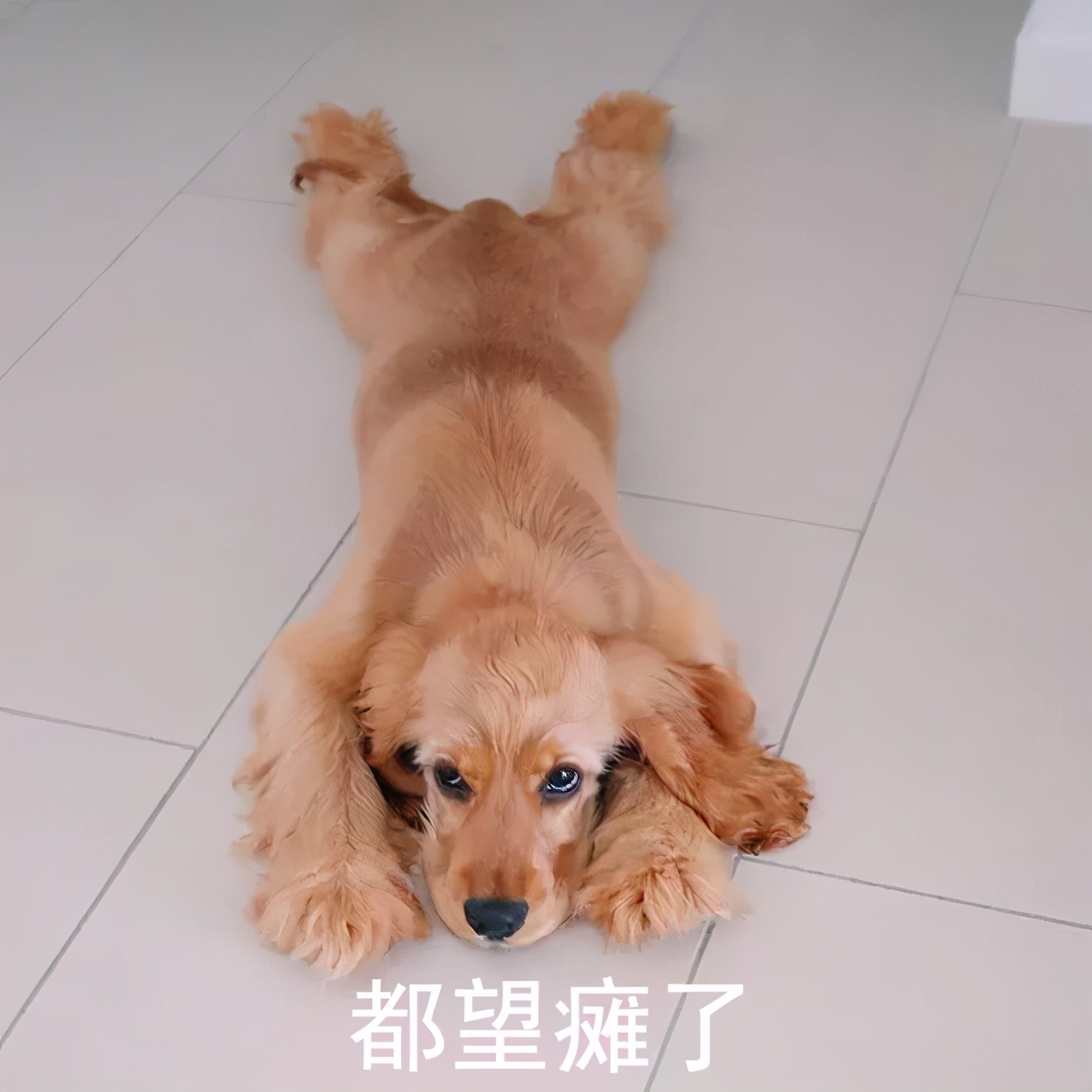 微信windows最新更新,windows微信3.9.8更新