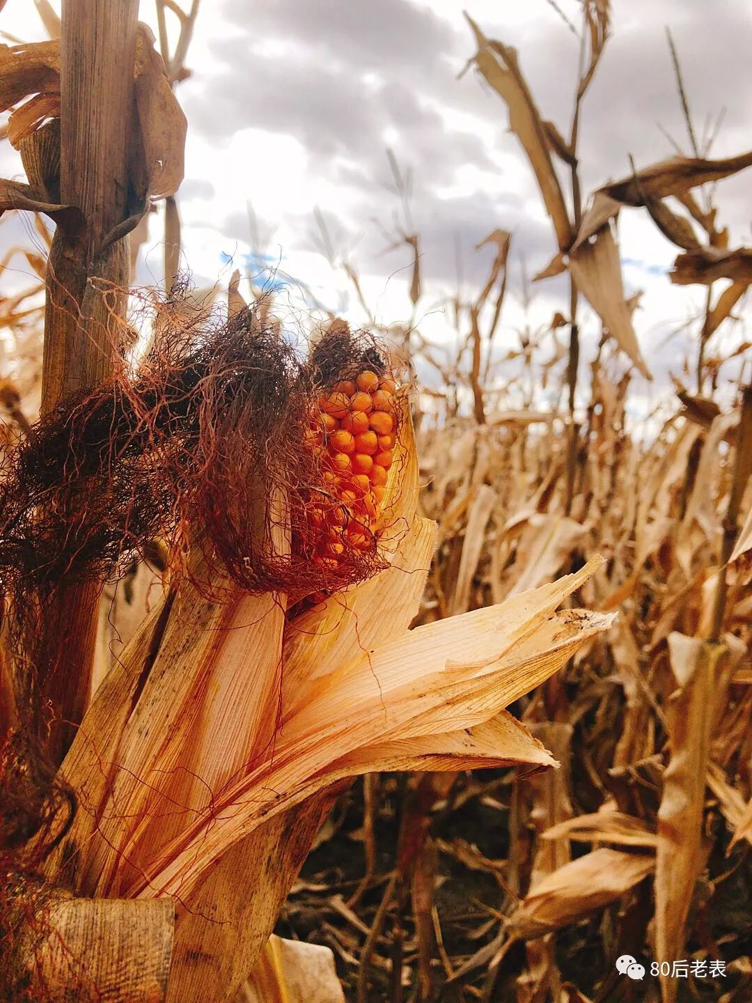摩旅环华100圈,单人摩旅环华139