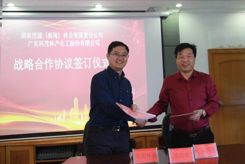 鑼傛簮鏋椾笟,鑼傛簮鏋椾笟鏈夐檺鍏徃