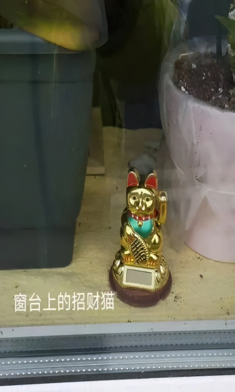 从英国回国为什么要转机,从英国回国需做哪些准备