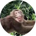 爱看威震天怼人？让无名女郎给你看点更狠的