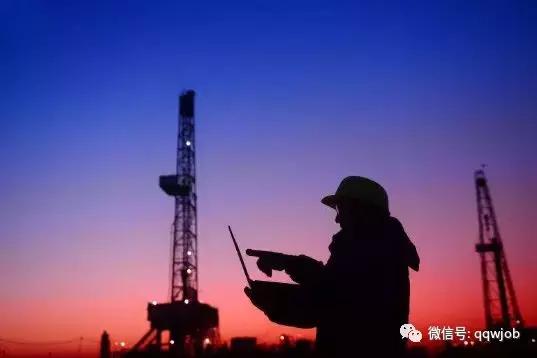 壳牌2024校园招聘,壳牌济南招聘