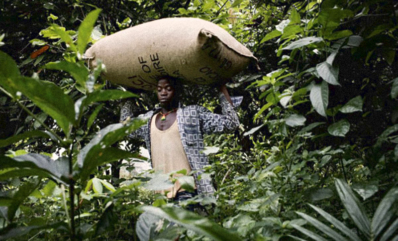科特迪瓦是哪个国家,你不知道的国家冷知识塞拉利昂