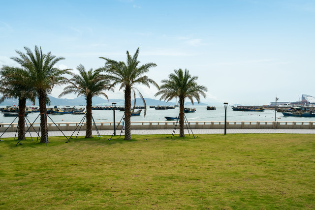 深圳海边最好的公园,深圳有几个靠海的公园