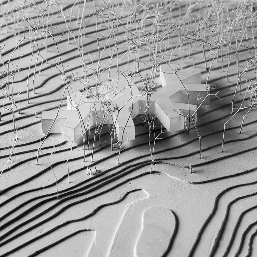 森林屋建筑,林中木屋建筑