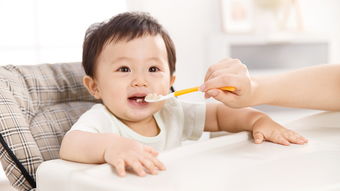 婴儿如何添加辅食后喝水,婴儿辅食怎么添加孩子以后不挑食