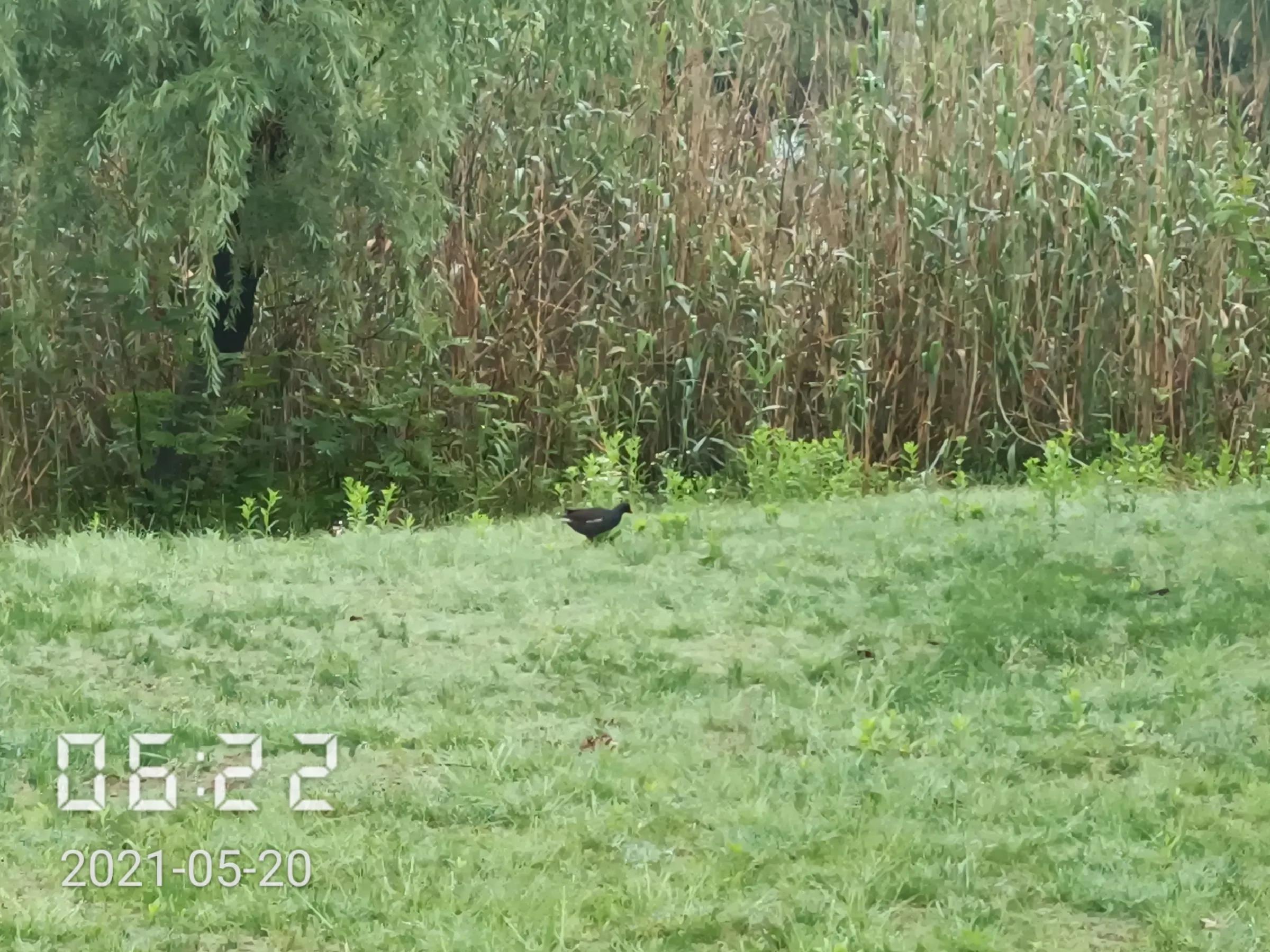 和城管斗智斗勇的一天,跟城管斗智斗勇的一天