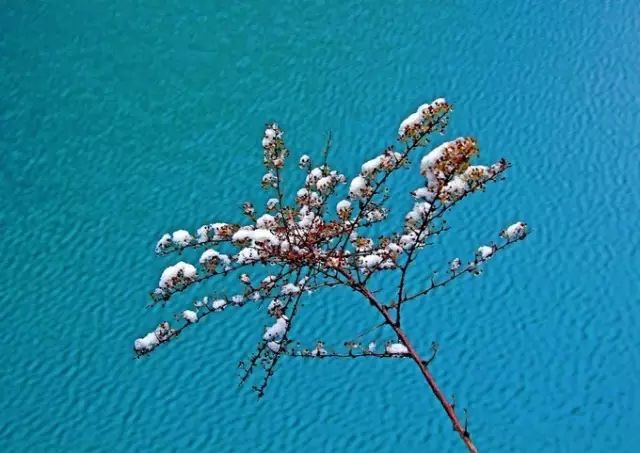 比九寨沟还漂亮的景点,比四川九寨沟更美的地方