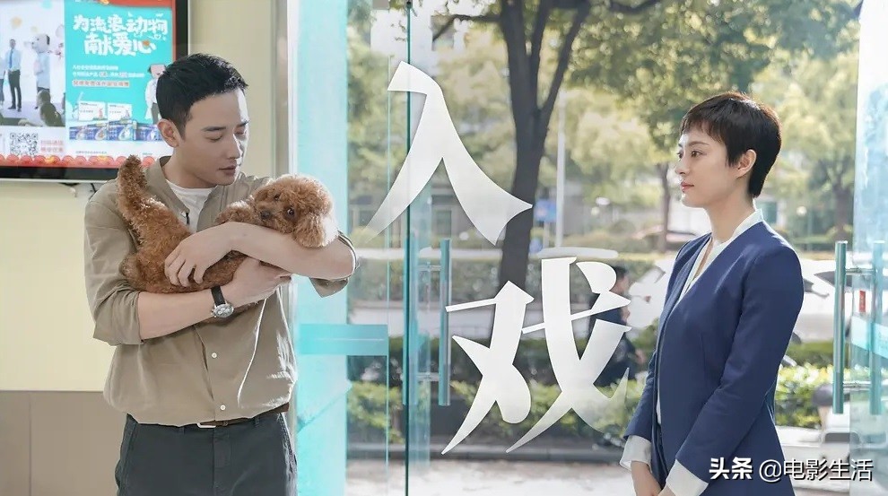 《安家》评分6.3，却火爆全网！成功拍出每个人都关注的买房焦虑