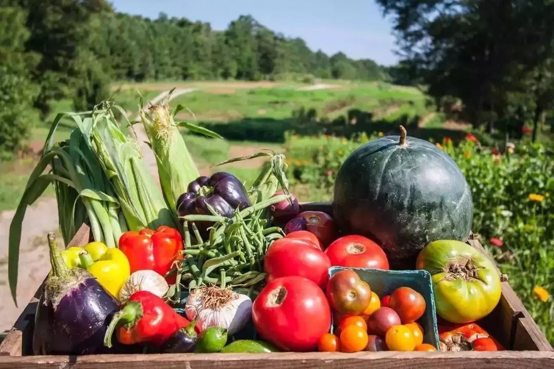 南昆山度假胜地,南昆山哪里度假最好