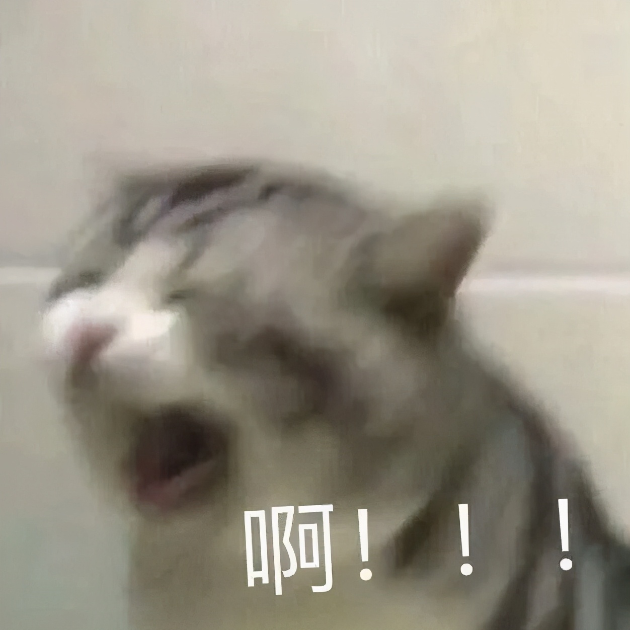 幼儿冬季防寒防冻措施,冬季幼儿防寒保暖的小贴士