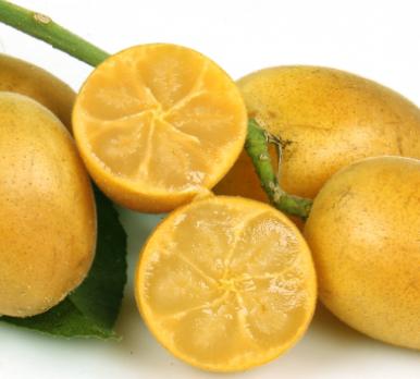 游四方全部视频,游四方四川