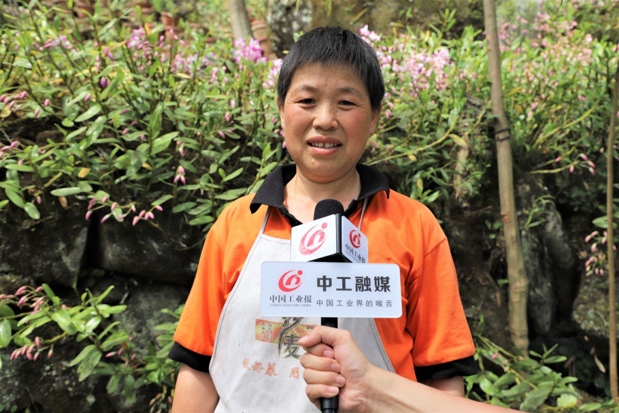 赤水市金钗石斛产业园,赤水市金钗石斛种植