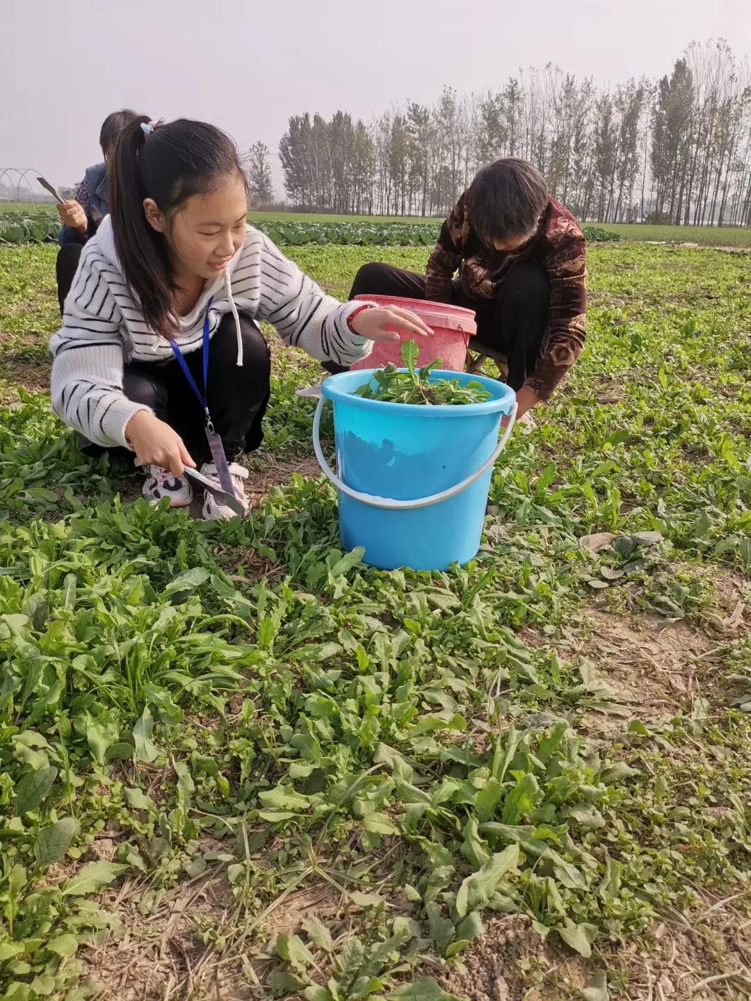 安定明德小学寒假实践活动记录表,红旗小学寒假实践活动记录表