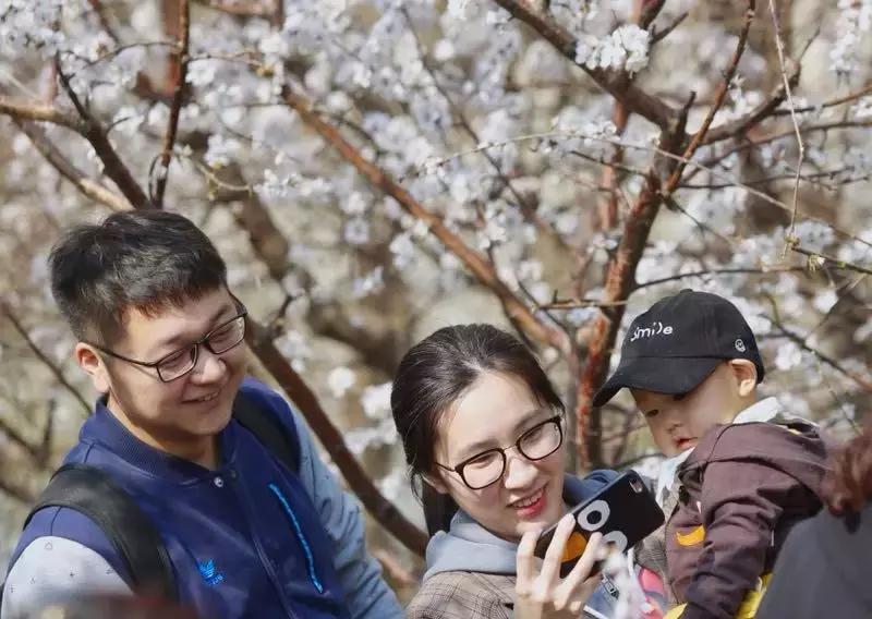 官宣外交部将向全世界推介天津,外交部推介天津中文版