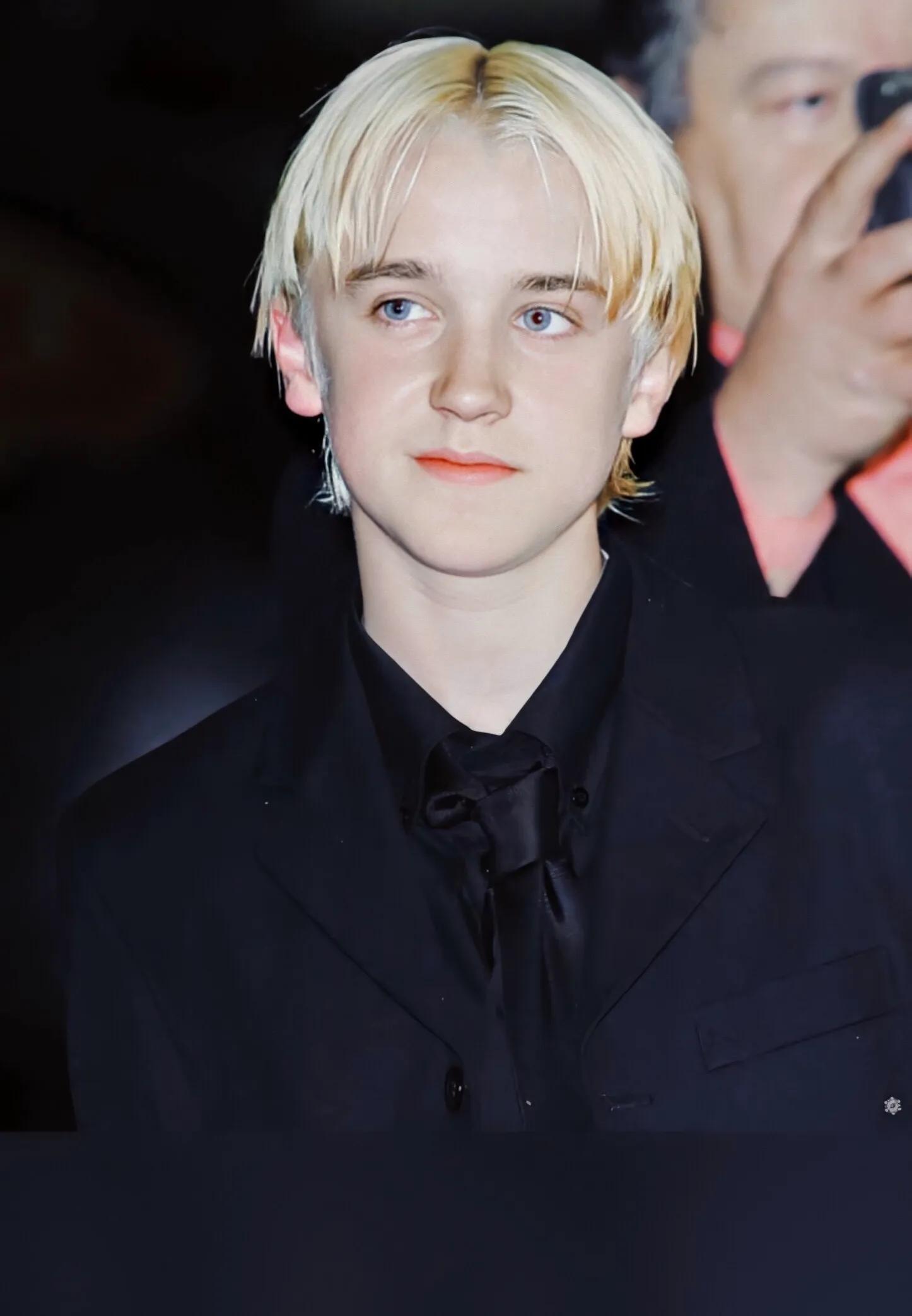 德拉科马尔福七年,德拉科马尔福十件事