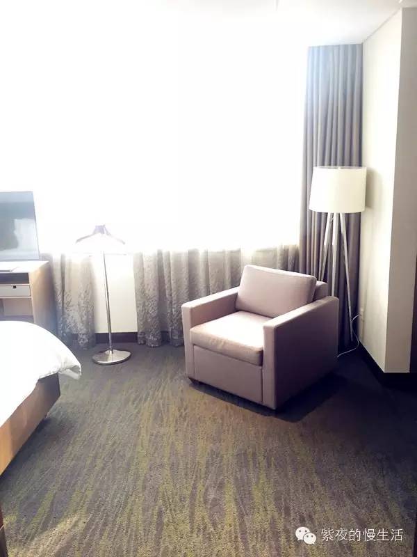 苏州带宠物去的古镇,苏州小众宠物乐园推荐