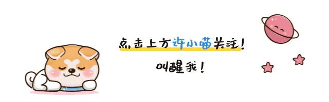 黄黑皮的十支必买口红999,值得入手的六支少女感十足口红