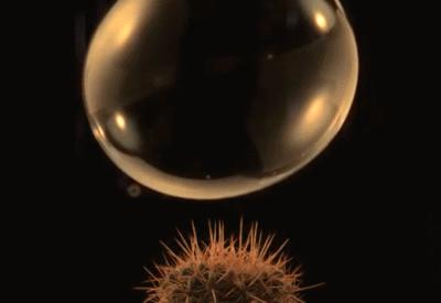 和男朋友很熟也不好意思,不好意思我跟你不熟怎么回答