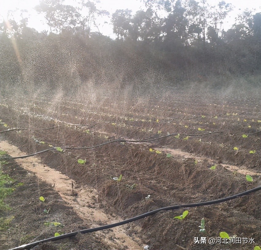 微喷带真的有必要用吗,微喷带用多厚的好